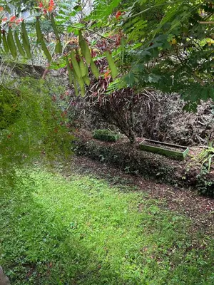 a garden with a bench in the grass at ZonaTorre Futura WTC comfy spacious little house! in San Salvador