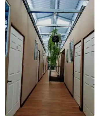 a hallway with white doors and a hanging plant at Noche de luna in San Salvador
