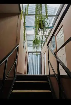 a hallway with stairs and a ceiling with plants at Noche de luna in San Salvador
