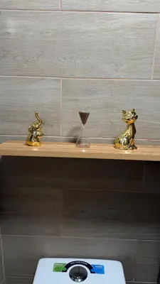 a shelf with two gold animals on top of a toilet at Apt with 1 Room AC Wi-Fi Kitchen San Salvador in San Salvador