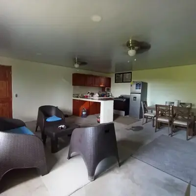 Vista Mango