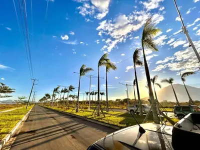 a car driving down a road with palm trees at Nuevo San Miguel in San Miguel