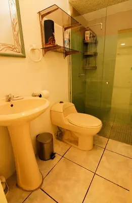 a bathroom with a toilet and a sink and a shower at Spacious Home - Cerca de Escalón in San Salvador