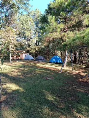a group of tents in a field with trees at Camping La Palma in La Palma