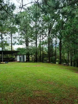 a large grass field with a building in the background at Camping La Palma in La Palma
