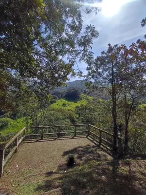 a wooden bridge with a view of a valley at Camping La Palma in La Palma