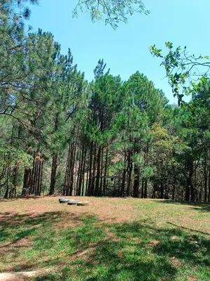 a park with a bench in the middle of a field at Camping La Palma in La Palma