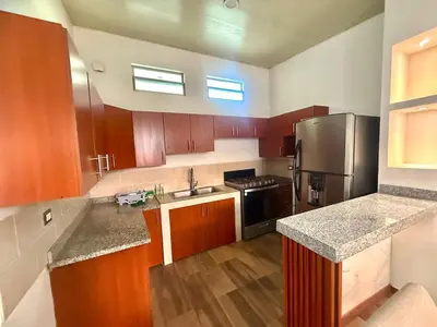 a kitchen with wooden cabinets and stainless steel appliances at Beautiful and Remodeled House Metropolis S Gabriel in Nejapa