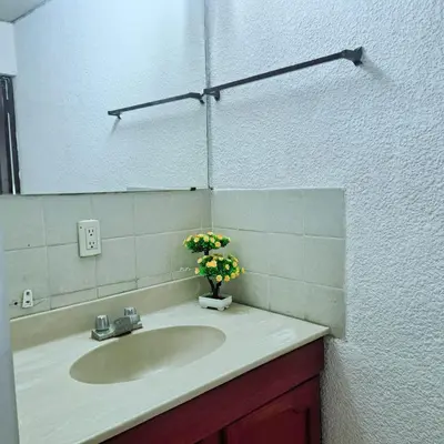 a bathroom sink with a vase of flowers on it at casa de huéspedes lui in San Salvador