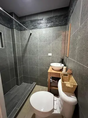 a bathroom with a toilet and a sink and a shower at Apartment D Fuertevali in San Salvador