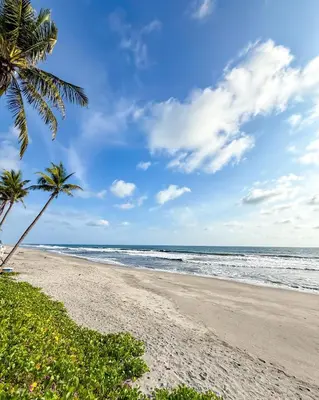 a beach with a palm tree and the ocean at Azul Beach House in La Esmeralda