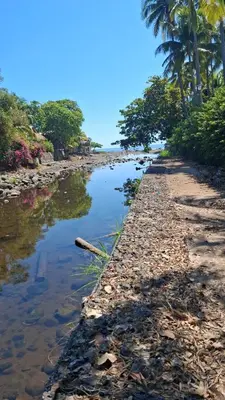 a beach with palm trees and a river at Hostel Bella Luna in El Zonte