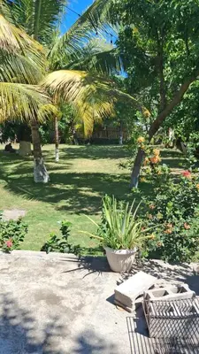 a park with a bench and palm trees and grass at Hostel Bella Luna in El Zonte