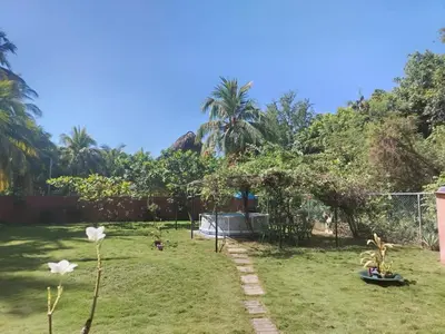 a garden with palm trees and a fence at La Casita de la Playa La Bocana San Juan in Metalío