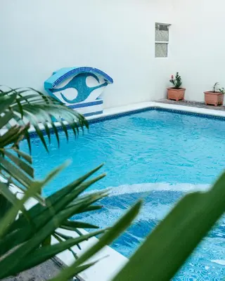 a blue swimming pool with a chair and a plant at Papaya Lodge in La Libertad