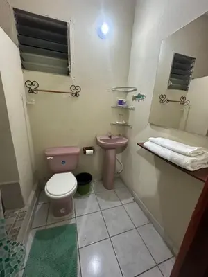 a bathroom with a pink toilet and a sink at Hostal las brisas in El Rosario