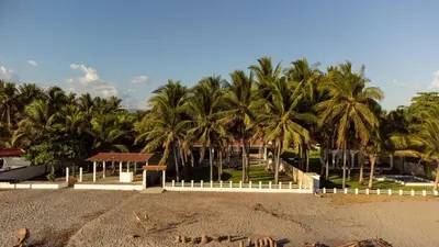 a beach with palm trees and a white fence at Ranch Pacific Dreams Home in Playa Cangrejeras