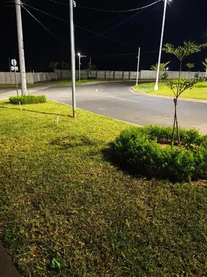 a tree in the grass next to a street at night at La casa de Alex in San Juan Opico