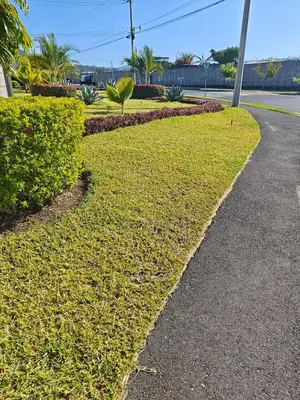 a sidewalk next to a lawn with bushes and a street at La casa de Alex in San Juan Opico