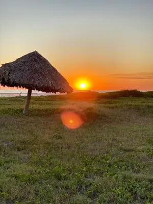 a straw umbrella on the beach at sunset at Makai Beach Apartment in El Zapote