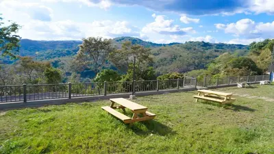 two wooden benches sitting on top of a grass field at New, Peaceful Bonavista Home! in Zaragoza