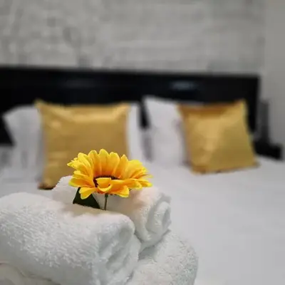 The Bello Lodging