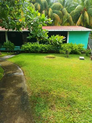 a path leading to a house with a green yard at Casa de playa en lomas de san blas in Playa San Blas