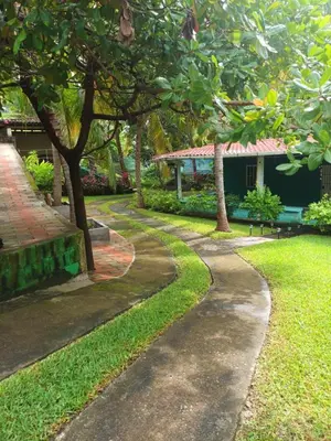 a path in a park with trees and a building at Casa de playa en lomas de san blas in Playa San Blas