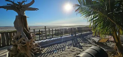 a palm tree on the beach next to a fence at Beachfront House The Hope in San Luis
