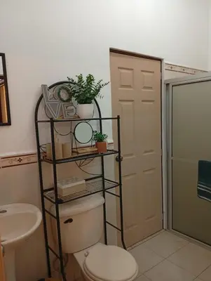 a bathroom with a toilet and a shelf with plants at La casita de oly in Concepción de Ataco