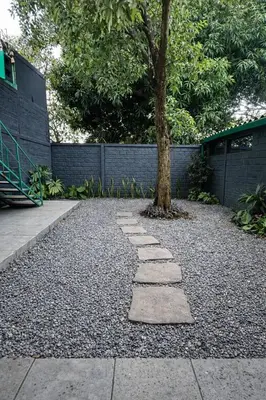 a tree in the middle of a stone walkway at Casa Maruca- 2 bedrooms Home for 5 Guests - A charming getaway near downtown & financial hub area! in San Salvador