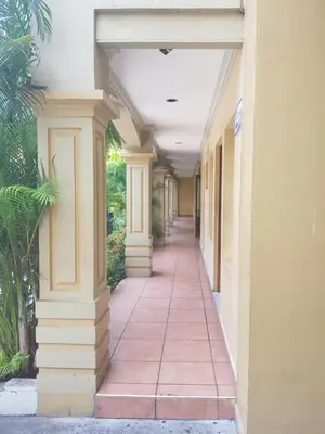 a hallway of a building with columns and plants at Hotel Florencia in San Miguel