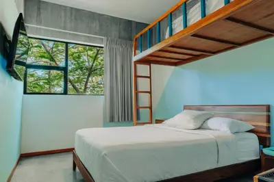 a bedroom with a bunk bed and a ladder at Puro Surf Hotel & Performance Academy in El Zonte