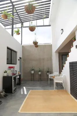 an office with potted plants hanging from the ceiling at Kaleo Hotel Boutique in San Salvador