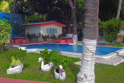 a group of white swans by a swimming pool at Hotel y Restaurante Rincón Familiar in La Libertad