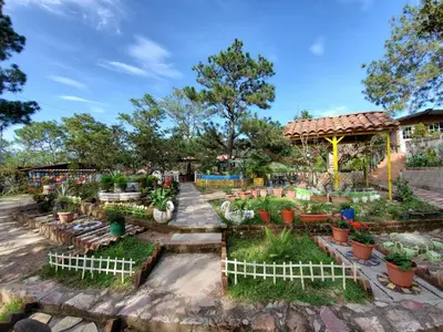 a garden with potted plants and a pavilion at Hotel y Restaurante Las Margaritas in Perquín