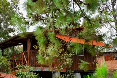 a house with an orange roof and trees at Hotel y Restaurante Las Margaritas in Perquín