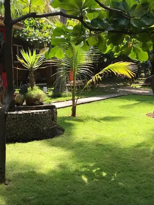 a yard with green grass and trees and a building at Hotel & Bar La Guitarra in El Sunzal