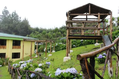a garden with a wooden tower and flowers at Alla Arriba in Las Cruces
