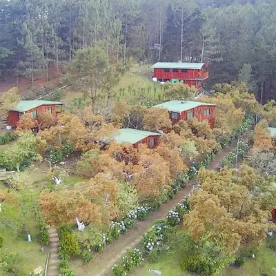 Alla Arriba