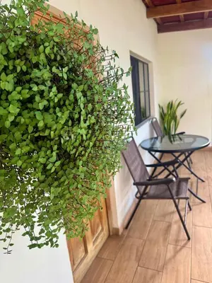 a patio with a bench and a large green plant at Hostal DEYLUWIN in Juayúa