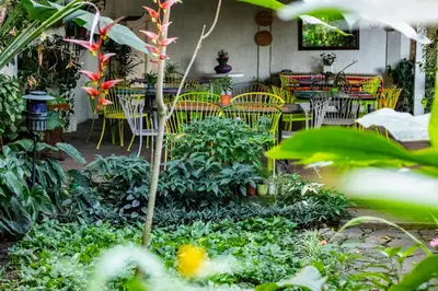 a garden with a table and chairs and plants at Arbol de Fuego Eco-hotel in San Salvador