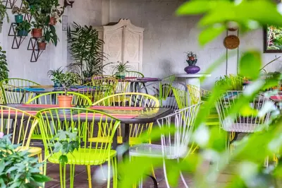 a room with tables and chairs with plants at Arbol de Fuego Eco-hotel in San Salvador