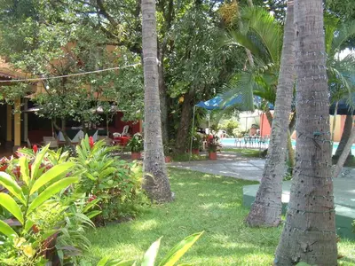 a group of palm trees in a yard at Hotel Mediterraneo Plaza in San Salvador