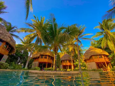 a resort with palm trees and a swimming pool at Hotel Tortuga Village in La Herradura