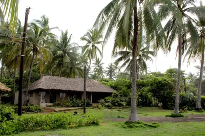 a resort with palm trees and a building at Capricho Beach House in El Zapote