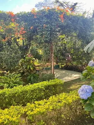a garden with a tree with flowers and a walkway at Villa Castillo de Ensueño in Concepción de Ataco