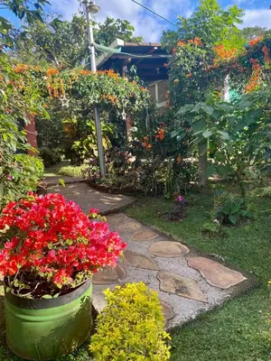 a garden with flowers and a walk way at Villa Castillo de Ensueño in Concepción de Ataco