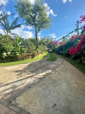 an empty road with a car driving down it at Villa Castillo de Ensueño in Concepción de Ataco