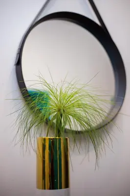 a plant in a vase in front of a mirror at Hotel Citlalli in San Salvador